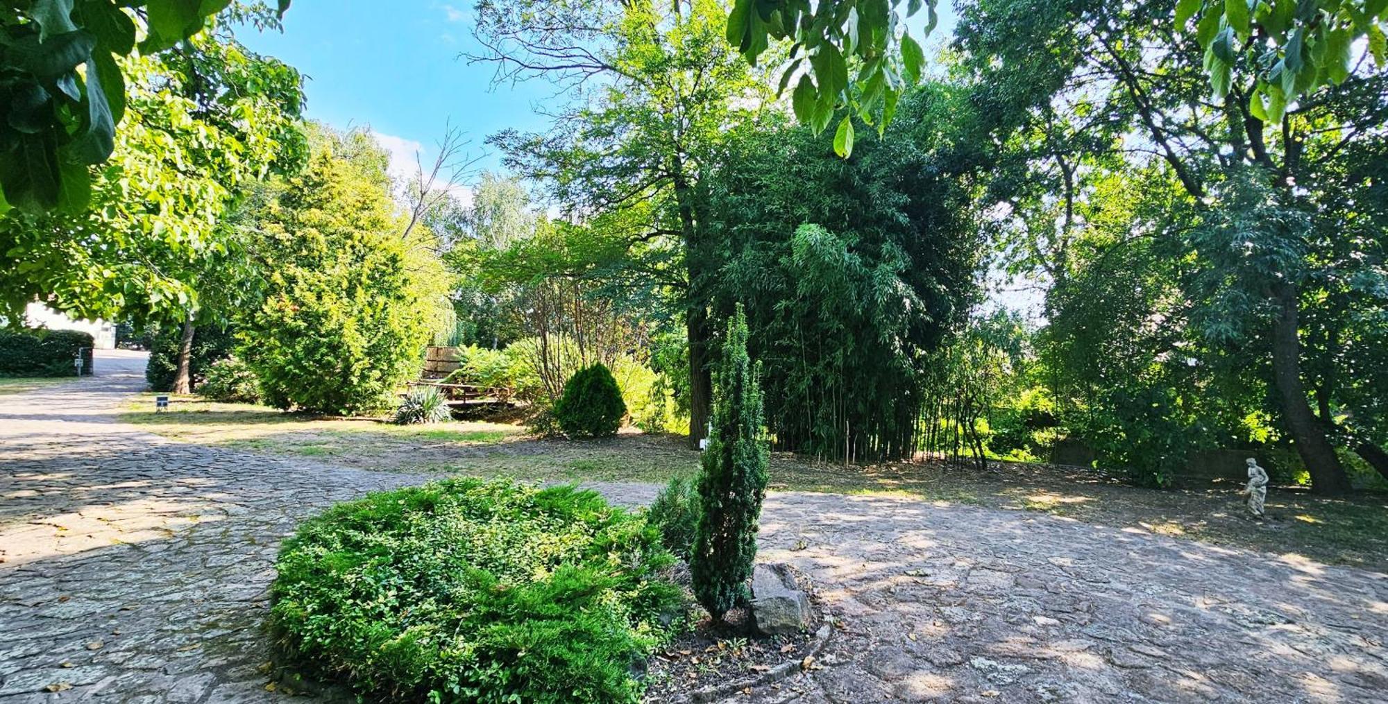Levendula Resort Es Rendezvenykoezpont Bogács 외부 사진